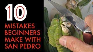 10 Mistakes Beginners Make With San Pedro Cactus