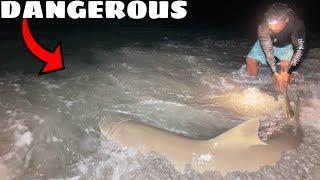 CLOSE CALL While Shark Fishing! **DRAGGED ME IN**