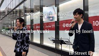 【世界初？】 Novelbright - 雪の音 を手話ってみた (路上ライブ)