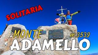 Monte Adamello m.3539 | Ferrata Terzulli