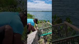 Testing fishing trap