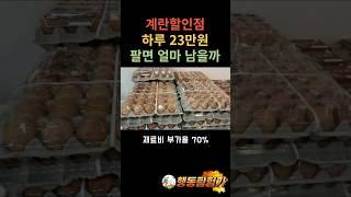 계란할인점 하루 23만원 팔면 얼마 남을까