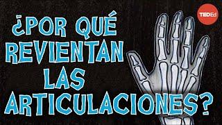 ¿Por qué te crujen los nudillos? - Eleanor Nelsen