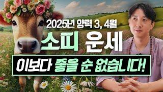 2025년 을사년 양력 3, 4월 소띠 운세 / 두 번 다시 없을 최고의 행운이 옵니다! / 97년생, 85년생, 73년생, 61년생