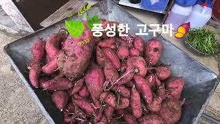 송영호장로님댁 농사체험