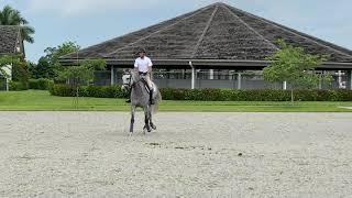 At Home with Glenbeigh Farm | Half Pass | Show Jumping Training Tips