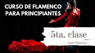 CLASE 5. PRINCIPIANTES CURSO FLAMENCO 2021