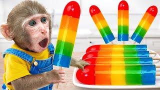 KiKi Monkey challenge cooking Yummy Rainbow Jelly Ice Cream with Dog | KUDO ANIMAL KIKI