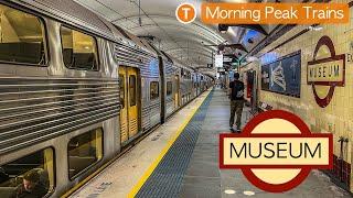 Transport for Sydney Vlog 891: Museum Station - Morning Peak Trains