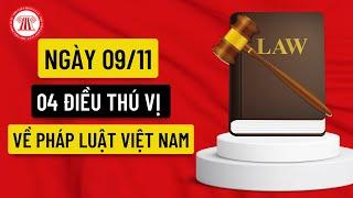 Ngày 09/11: 04 Điều Thú Vị Về Pháp Luật Việt Nam | THƯ VIỆN PHÁP LUẬT