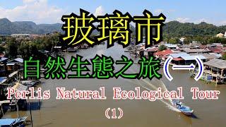 [馬来西亜旅游malaysia travel#34]玻璃市自然生態之旅(一)Perlis Natural Ecological Tour (1)#malaysia #玻璃市#Perlis