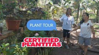 PLANTS TOUR + PLANTS IDENTIFICATION by Team Briana