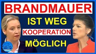 Wagenknecht ändert Ihre Meinung zur AfD