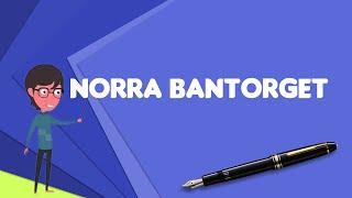 What is Norra Bantorget? Explain Norra Bantorget, Define Norra Bantorget, Meaning of Norra Bantorget