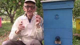 Difficult Spring 2022 at Apiary of Beekeeper Vasyl Priyatelenko Beehives near Kyiv, Ukraine