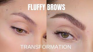 HOW TO GET FLUFFY NATURAL LOOKING BROWS | Julia Dantas