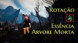 [Black Desert] Essencia de Arvore Morta - Rotacao