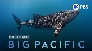 The Mysteries of Earth's Largest Ocean | Big Pacific | Full Episode 1 | PBS