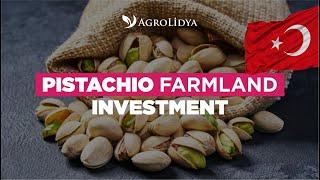 Pistachio Farmland Investment - Plan Your Second Income