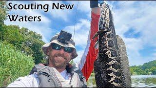 Quick Scouting Trip & New Lure: Beefle Spin Spinnerbait & New Area Snakehead Fishing