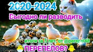 Выгодно ли разводить перепелов? #перепела #перепел #перепелки #техасскийперепел #техас #выгода