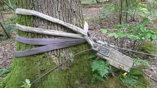 Removing a Fallen Oak Branch Using a Winch