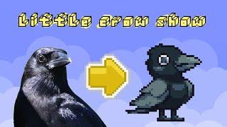 little crow show