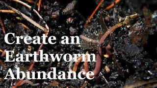 How to Create an Abundance of Earthworms in Your Garden