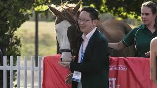 Asian Racing Conference Highlights