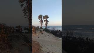 krishnapatnam beach #krishnapatnam #kristnapatnam #muthukuru #nellore #dinesh #beachlife #beauty