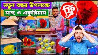 Aquarium price in Bangladesh Aquarium Fish Price In katabon Aquarium Fish Price In Bangladesh 2023