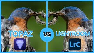 The Truth Revealed:  Lightroom Denoise AI vs Topaz AI