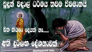 සිත කියල දෙයක් නෑ අති දුර්ලභ දේශනාව බුද්ධෝත්පාදාරයන් වහන්සේ