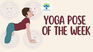 Yoga Pose of the Week | Lion Pose | Improve Strength with Yoga | Yoga Guppy