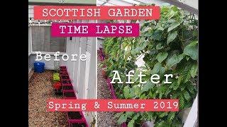 Growing Fruit & Veg in Scotland/UK - Spring & Summer 2019 / MoggyBoxCraft