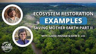 Ecosystem Restoration Examples with John D. Liu & Dr. Elaine Ingham