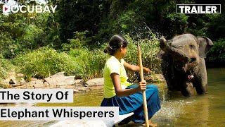 First Female Elephant Whisperer in Sri Lanka - Chandani | Documentary Of An Aspiring Mahout