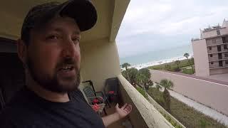 First BlueBusDave eBay sales went GREAT! Seashell hunting with Blue Bus Dave on Siesta Key Beach