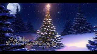 Andy Williams - It's the Most Wonderful Time of the Year