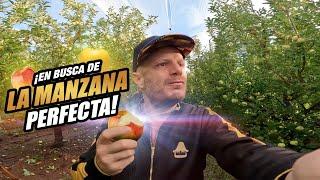 ¡En busca de LA MANZANA PERFECTA! | FACUNDO