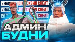 АДМИН ЗАБАНИЛ НАГЛОГО ЧИТЕРА В GTA 5 MAJESTIC RP - АДМИН БУДНИ МАДЖЕСТИК РП