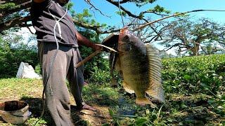 Amazing Village Fishing  | Traditional Hook Fishing In Sri Lankan | Island Fishing Sri Lanka