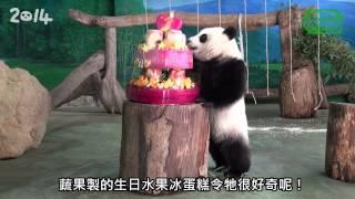 「圓仔」兩歲生日趴 –「野保市集」初登場 Yuan Zai's 2 Years Old Party