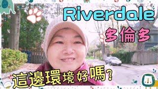 房子賣掉了？Riverdale 這周邊的環境好嗎｜可愛的貓兒｜營養蔬果汁＃Ivy家在多倫多#日常vlog＃Torontovlog#加拿大多倫多 #