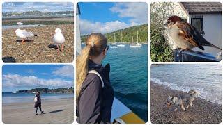  Waiheke island. Остров Вайхики. Гуляю и практикую английский.