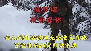 俄罗斯原始森林，遍地都是大型动物活动痕迹，女人冒险进山采山货