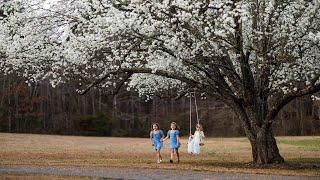 5 Sisters Photoshoot in the Blossoms. Children Portraits with Natural Light Only!