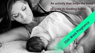 35 Weeks Pregnant: Know Your Baby's Position at 35 Week Pregnancy