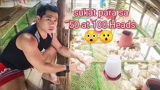 Tamang sukat nang kulungan para sa 50 at 100, heads na Broiler Chicken. at ilang feet ang kailangan.