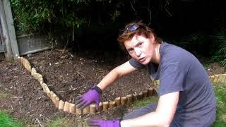 Planting under the tree   Claire's Allotment   Part 381